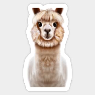 Cute Alpaca Drawing Sticker